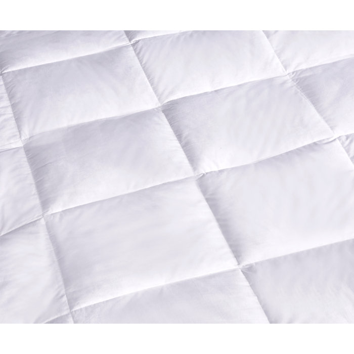 Blue Ridge Home Fashion 233 Thread Count Down PillowTop Featherbed & Reviews Wayfair